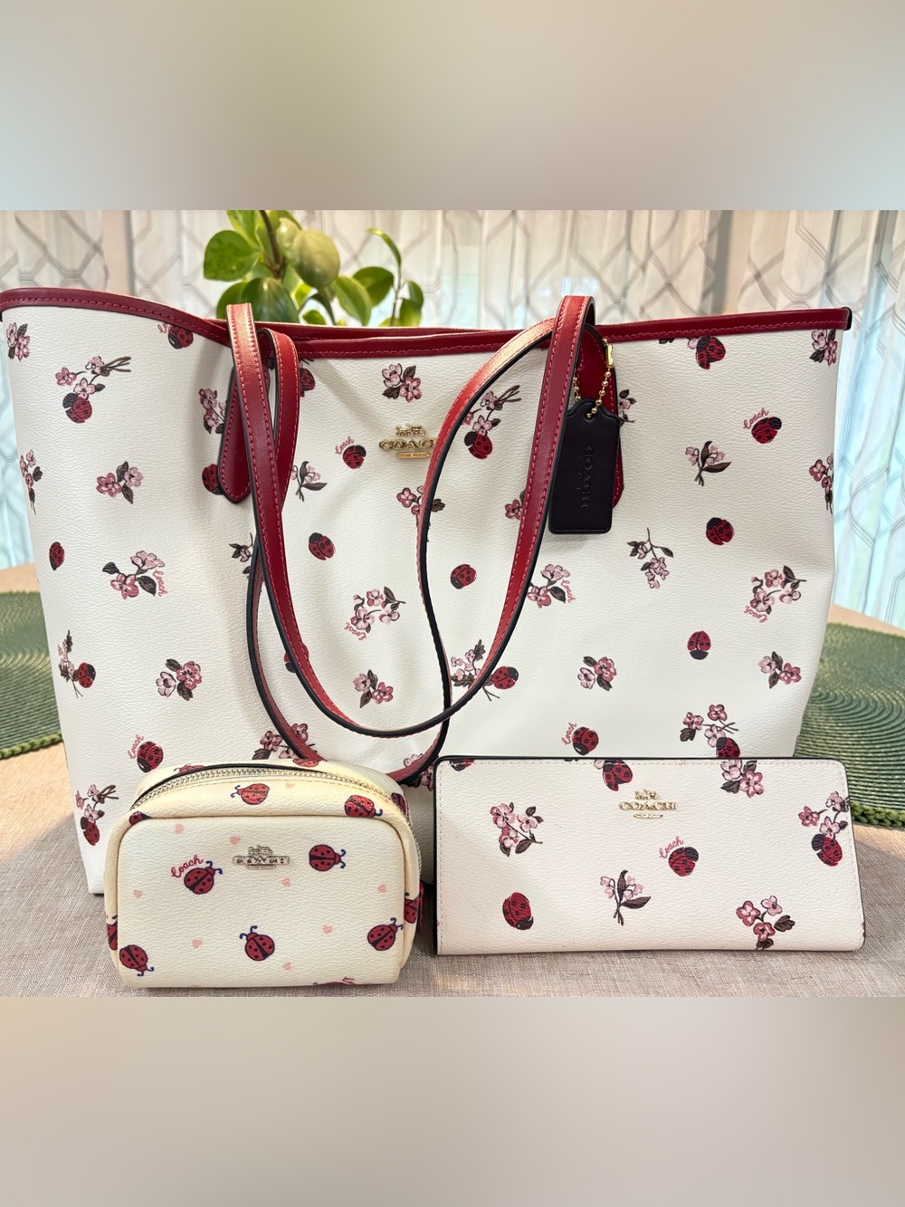 Coach Ladybug set